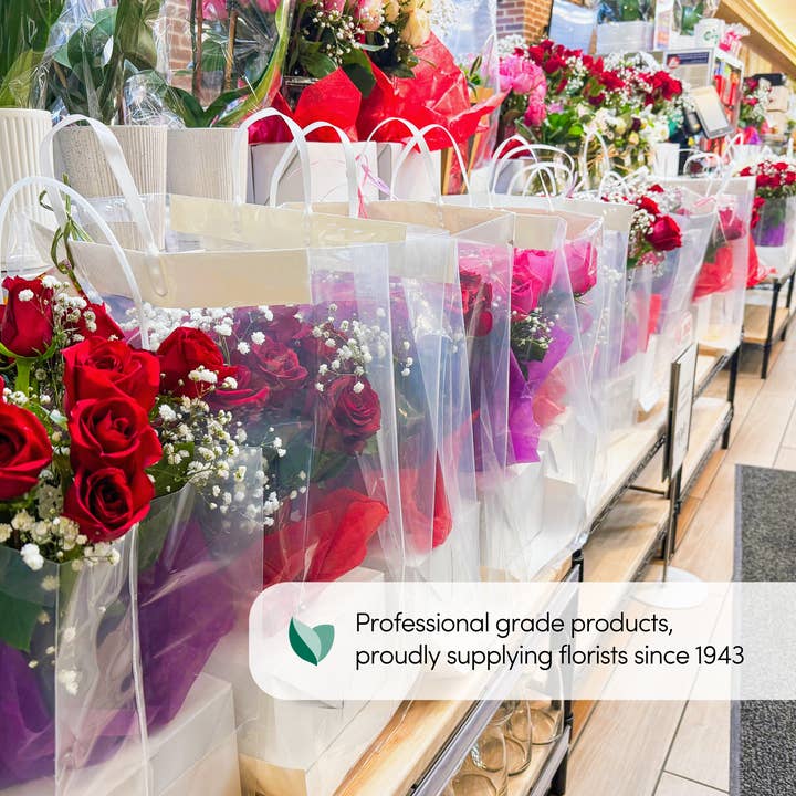 Jacobson - Wholesale Gift Box - 10PK - 12"L Pop Up Vase Boxes & Carry Out Bags for Florists