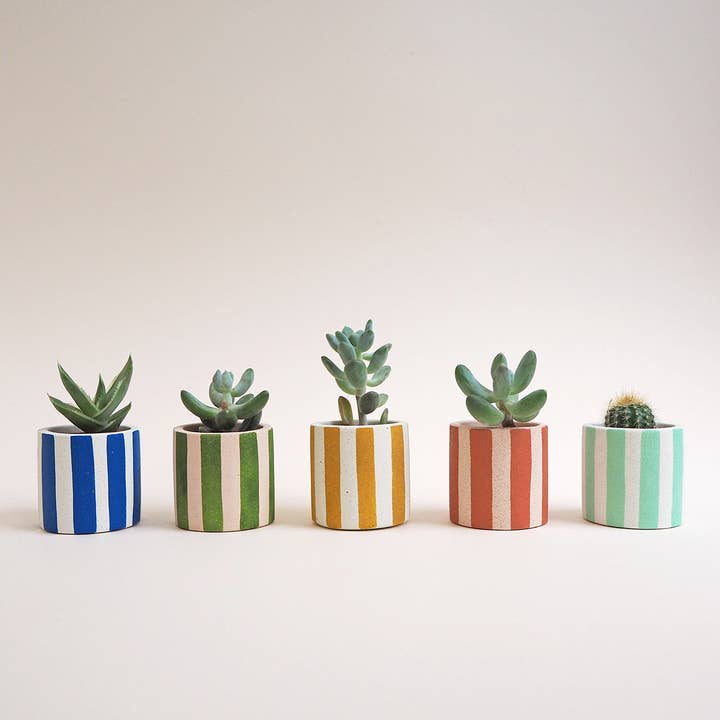 Mini Stripy Pot - Choose Your Colours for wholesale by Hello Marilu