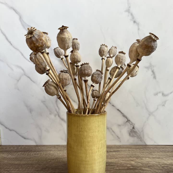 Uphill Pottery - Wholesale Vase - Straight 6" vase1