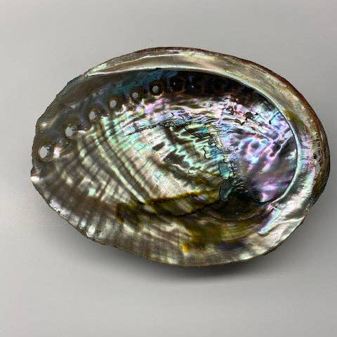 Espoir & Amour - Wholesale Smudge Plate - Abalone Shell for Smudging | Smudge Bowl Abalone Shells | 5-