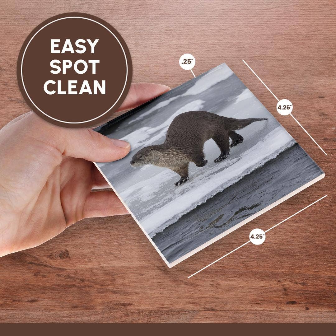 3dRose - Wholesale Coasters - 3dRose, River otter on ice, Coaster6