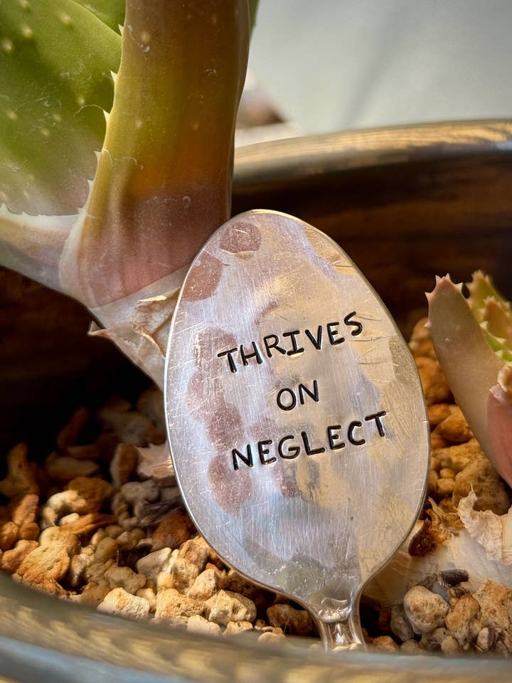 PROSPERA CON EL DESCUIDO - Marcador de Jardín para venta al por mayor de Pumpernickel and Wry