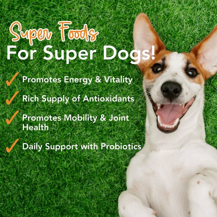 iHeartDogs.com – wholesale Pet supplement – Dog – Super-Greens: Vitamin, Mineral & Probiotic Supplement for Dogs with Spirulina, Kelp, Green Tea, Spinach, Chlorella, & Brocolli Sprouts - 90 Scoops -Faire