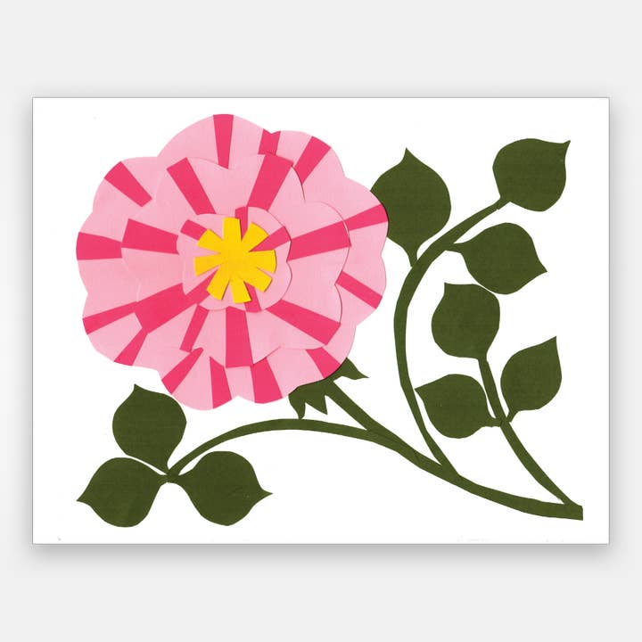 Gestreifte Rosen-Karte für den Großhandel von Paste