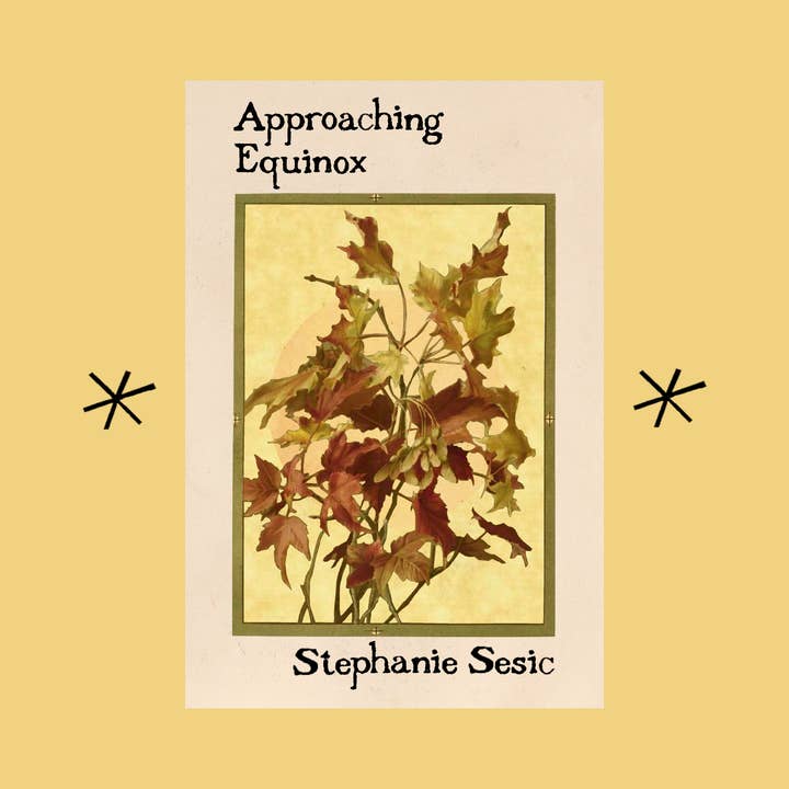 Bottlecap Press - Wholesale Book - Adult - Approaching Equinox, by Stephanie Sesic