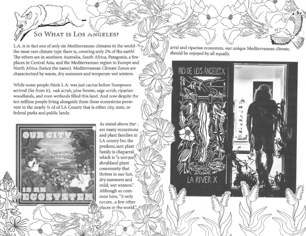 LA Is Not A Desert – wholesale Bok för tonåringar och unga vuxna – LA är inte en öken zine1