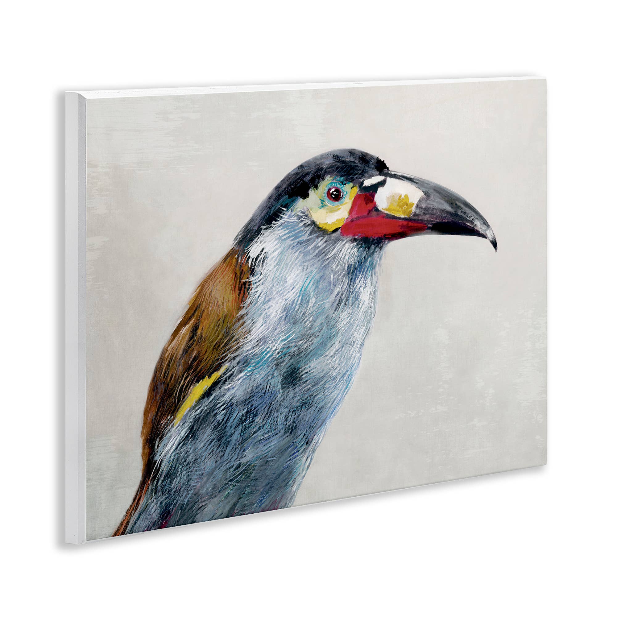 Stupell Industries – wholesale Wall sign – Black Billed Mountain Toucan - Unframed Wall Art3