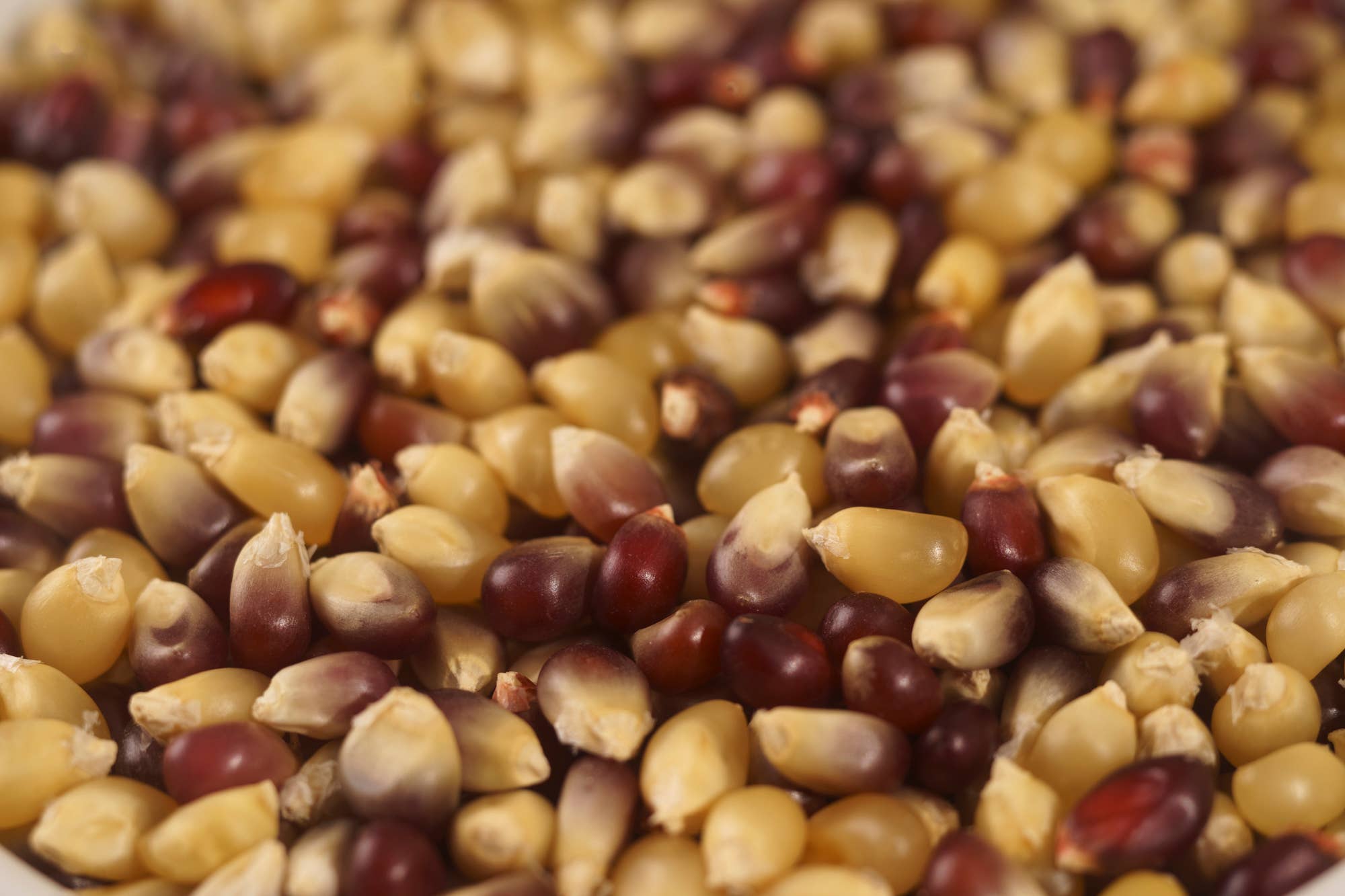 Seven Forks Farm - Wholesale Popcorn - Autumn Medley Popcorn 30oz. bag3