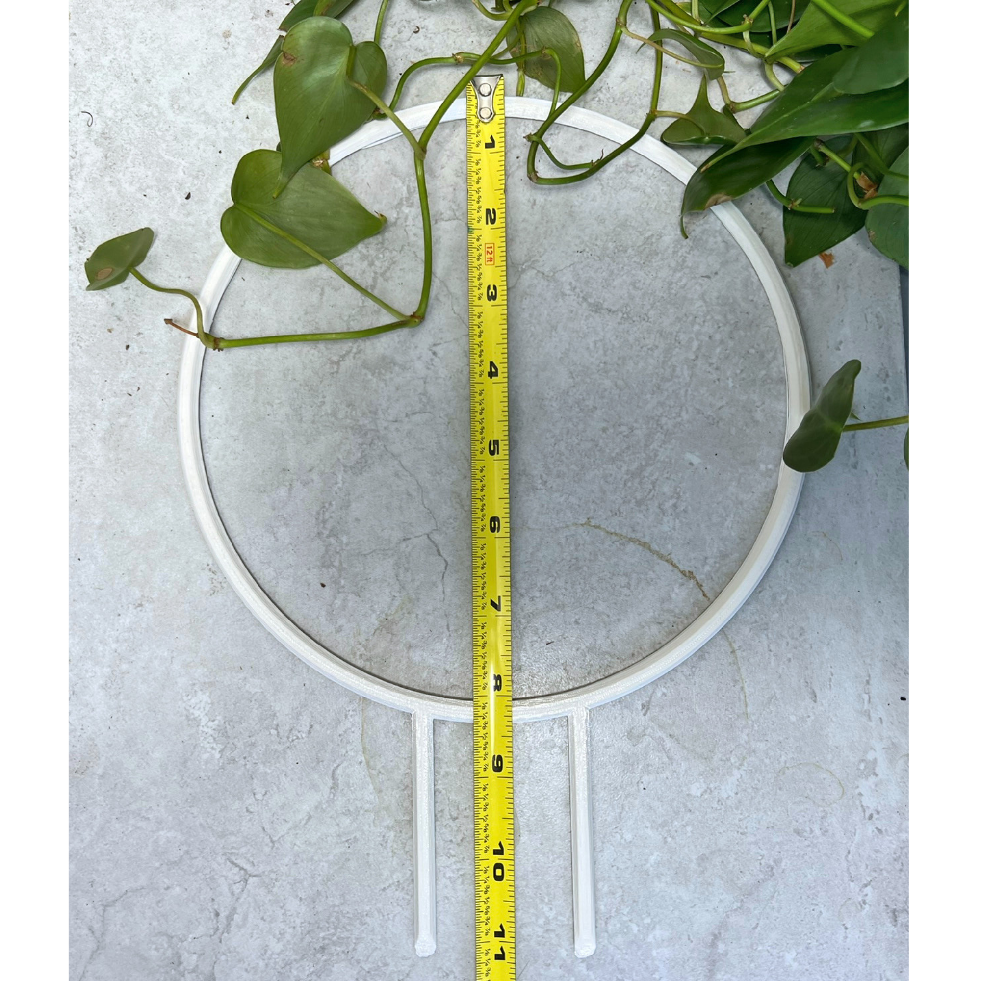 Floraform Creations - Wholesale Trellis - Hoop Shaped Eco-Friendly Lightweight Houseplant Trellis 3