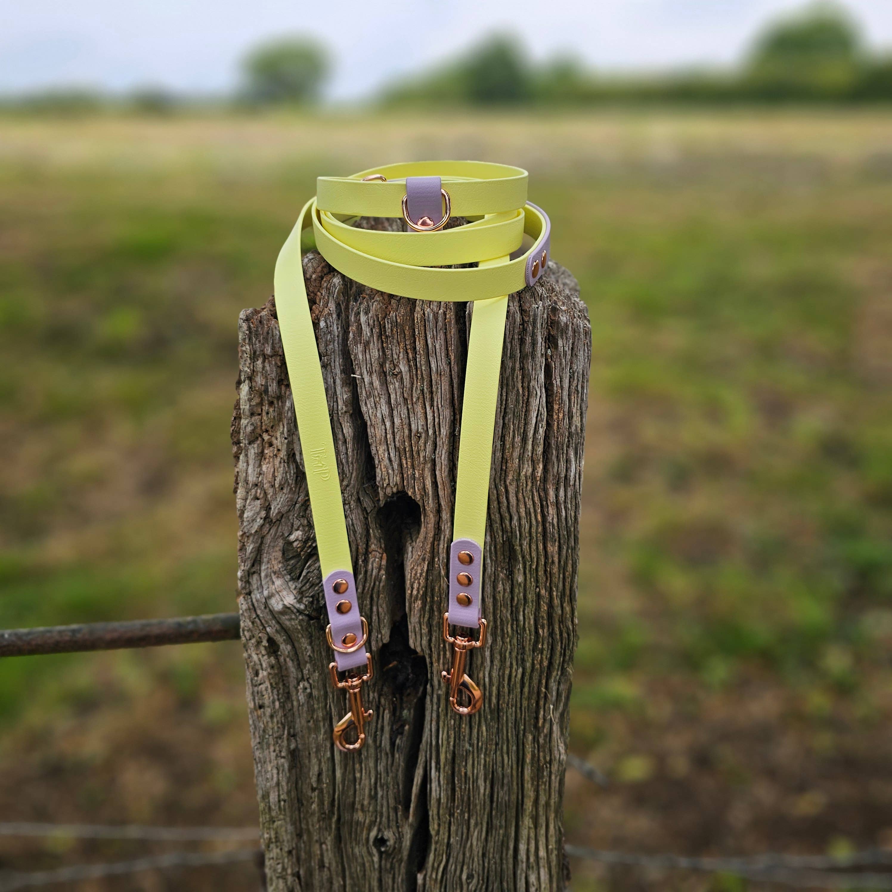 Trinkety Paws - Wholesale Hondenriem - Hond - Waterdichte BioThane handsfree hondenriem / multifunctionele lijn7