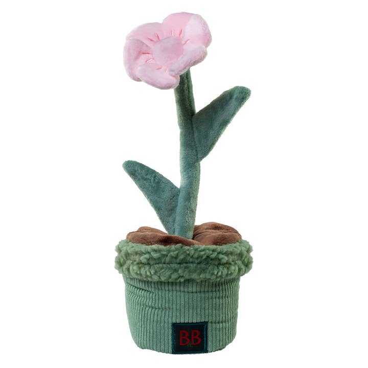 Aktivitetsleksak Pawtanic Garden - Blomma för wholesale av B&B Økologisk Hundeshampoo