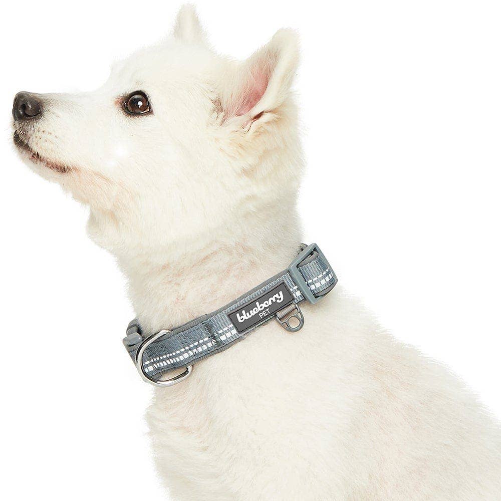 Blueberry Pet - Vente Collier – chien - Collier de sécurité rembourré en néoprène souple réfléchissant 3M28