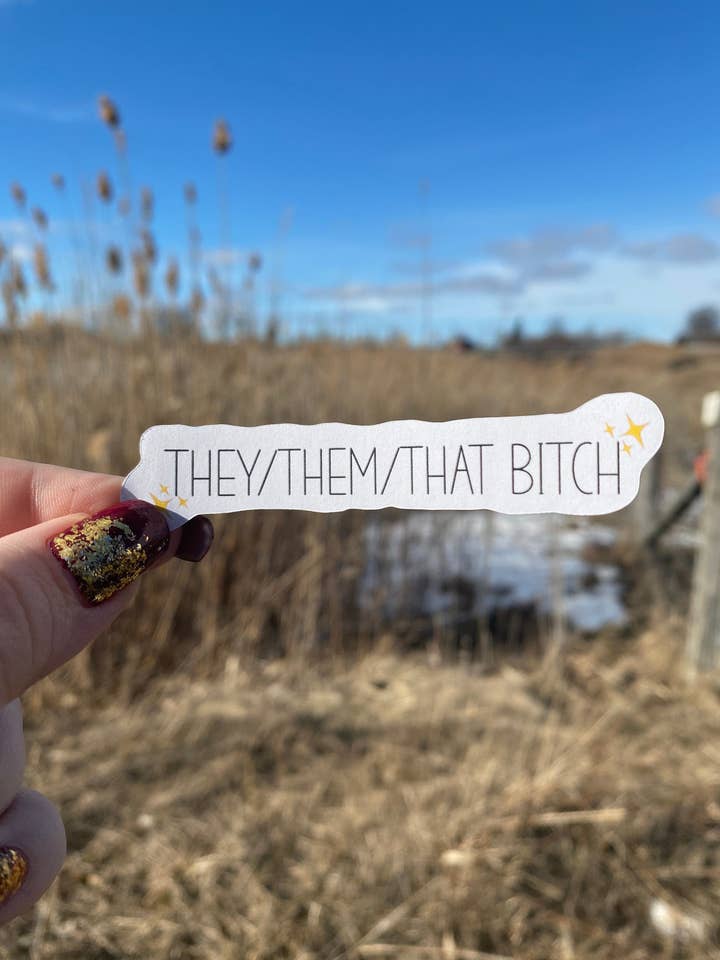 Pronoun Klistermärken | Pride Pronoun Klistermärke | dey/dem, hon/de, han/De, hon/henne, han/Honom //att tik | Intäkter Donerade | för wholesale av Rising River Co