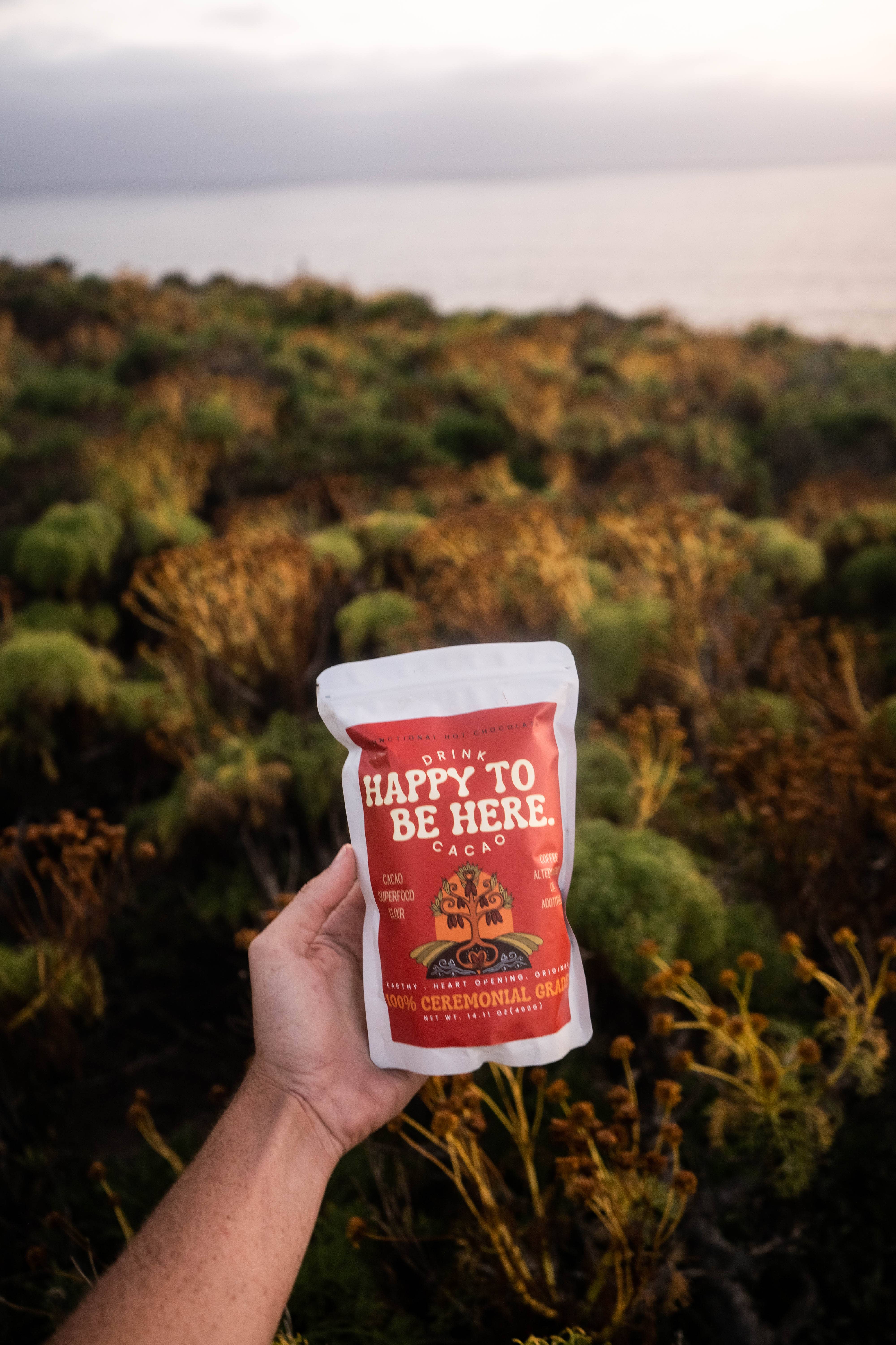 Happy to Be here - Wholesale Hot Cocoa Mix/Kit - 100% Ceremonial Grade3