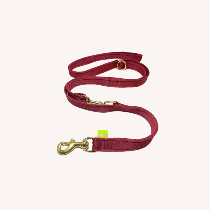 Laisse multifonction pour la vente par Dogtools