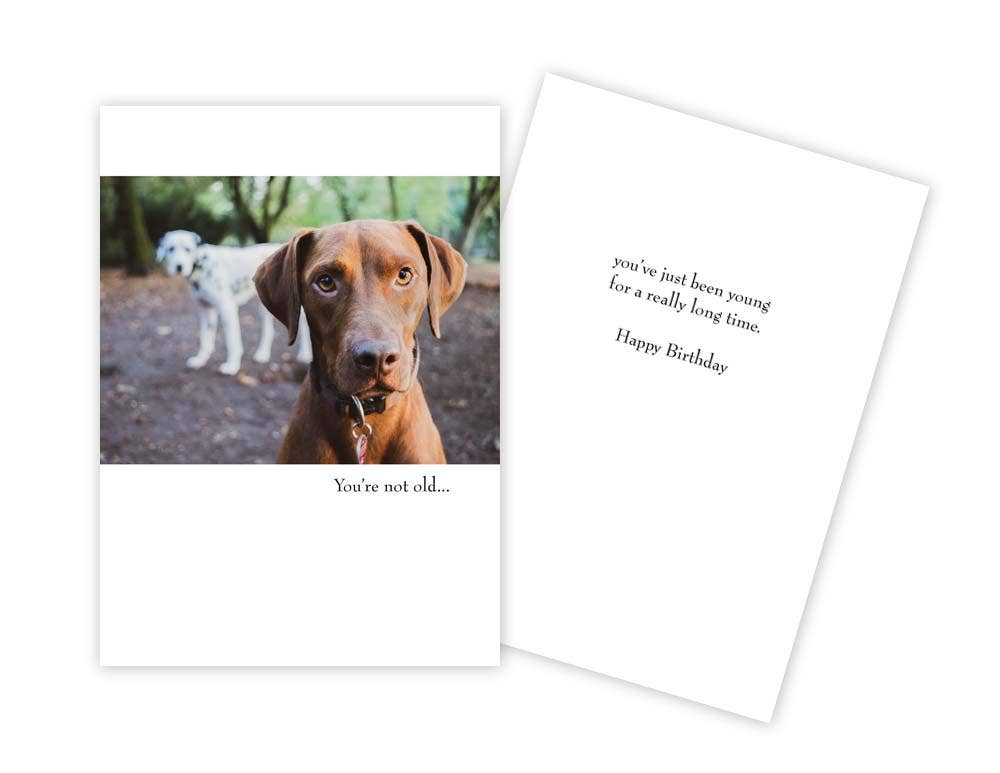 Faire - Online Wholesale Marketplace for Retailers & Brands