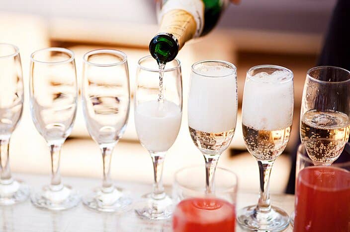 Tipsy Treats - Wholesale Gummy - INDIVIDUAL SAMPLE CUPS PACK- Choose Your Flavor2