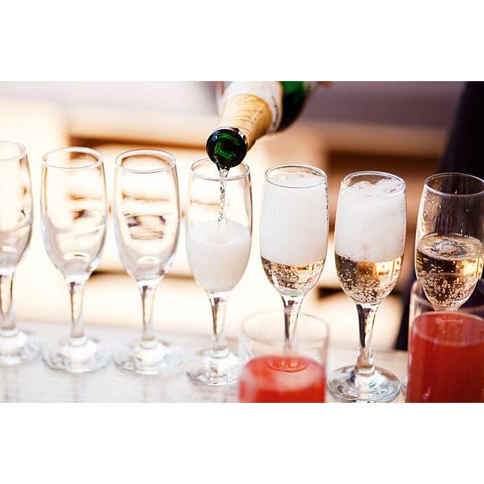 Tipsy Treats - Wholesale Gummy - INDIVIDUAL SAMPLE CUPS PACK- Choose Your Flavor2