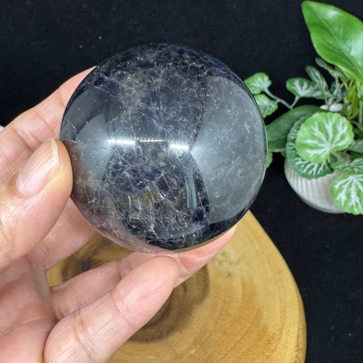 The 7 Directions - Wholesale Spiritual Stone/Crystal - 7 pc Mica Iolite fire quartz sphere w/ display stand G9966