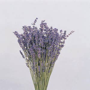 1/2 lb dried culinary lavender