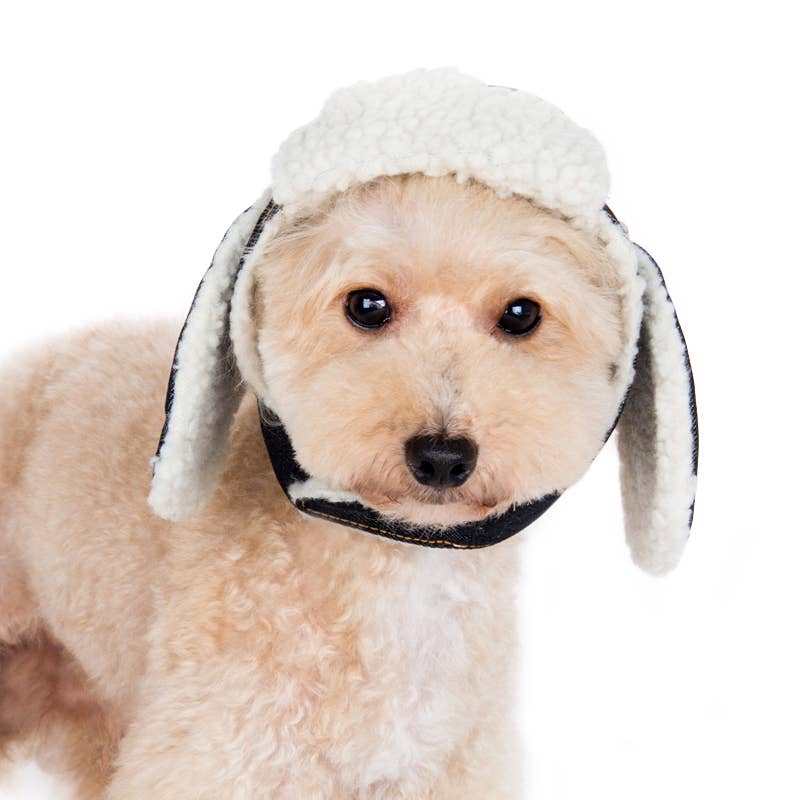 Dogo Pet - Wholesale Pet Hat - Dog - Trapper Hat4