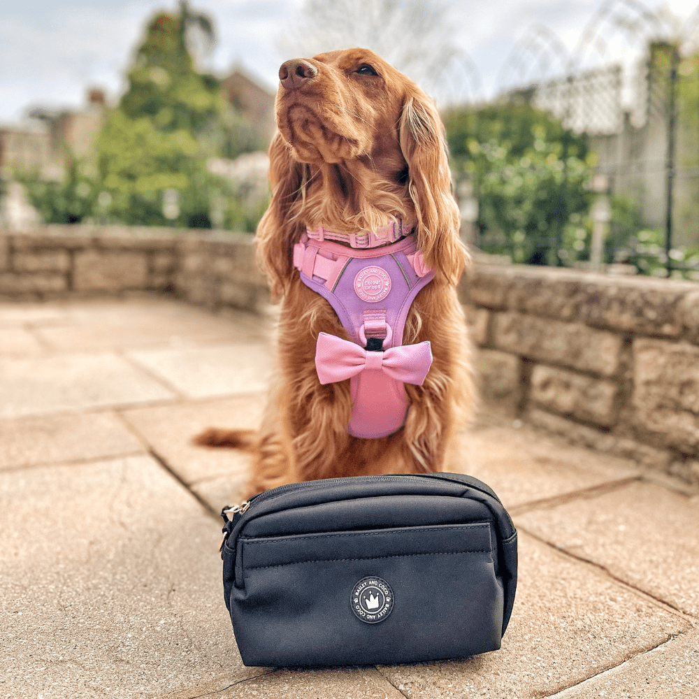 Bailey and Coco – wholesale Pet treat bag – Dog – Magnetic Snap Dog Walking Bum Bag - Black10