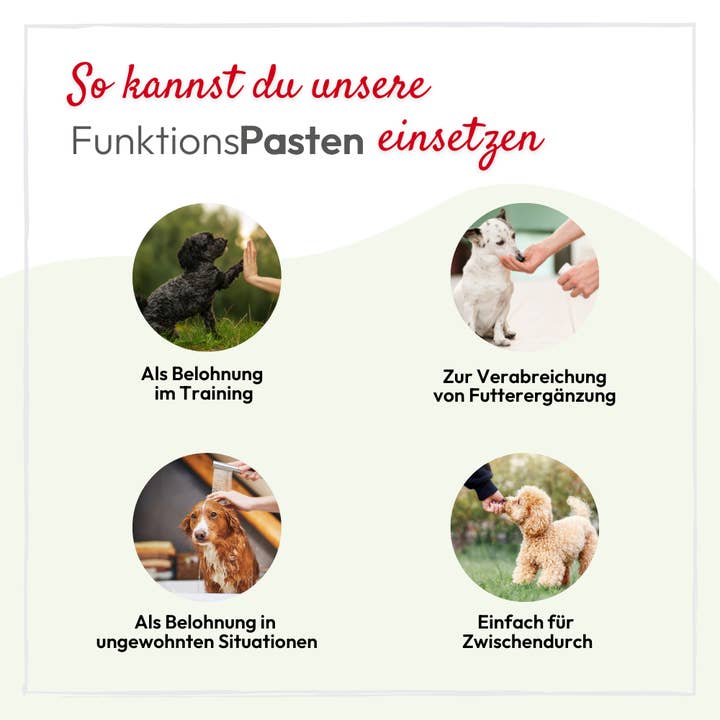 Kauartikel.com GmbH - Wholesale Pet Supplement - Cat/Dog - PHA vitamin paste for cats 100ml (5 pieces)