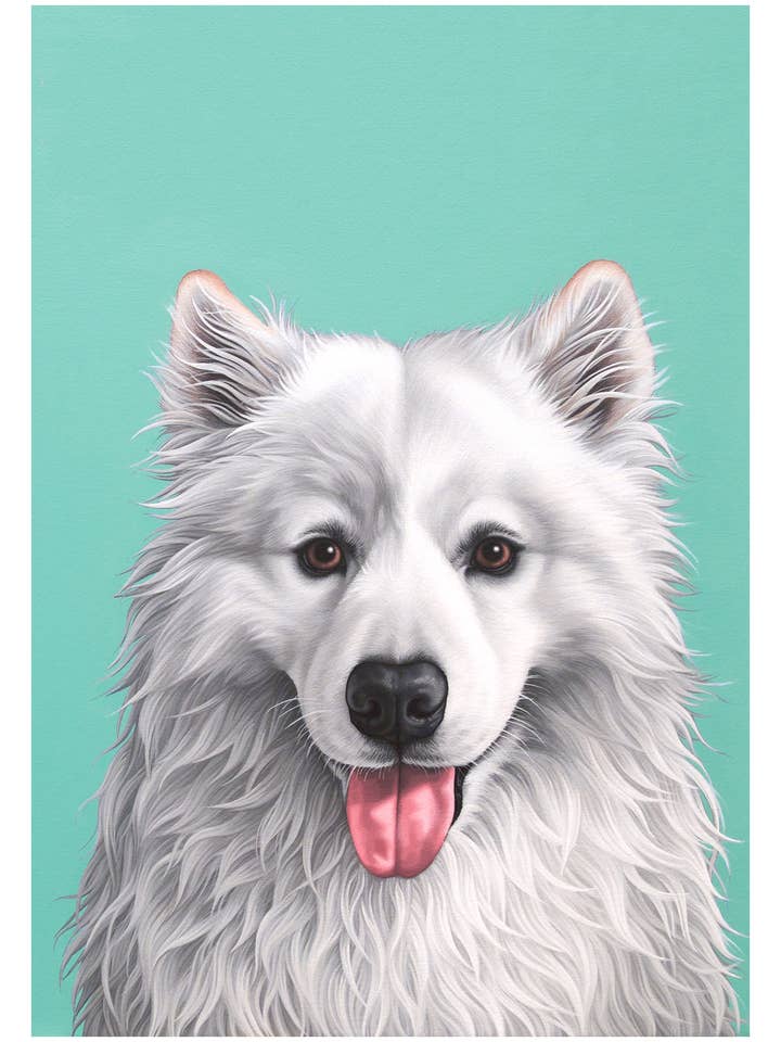 Samoyed Sled Dog Art Print for wholesale by Pop Zoo