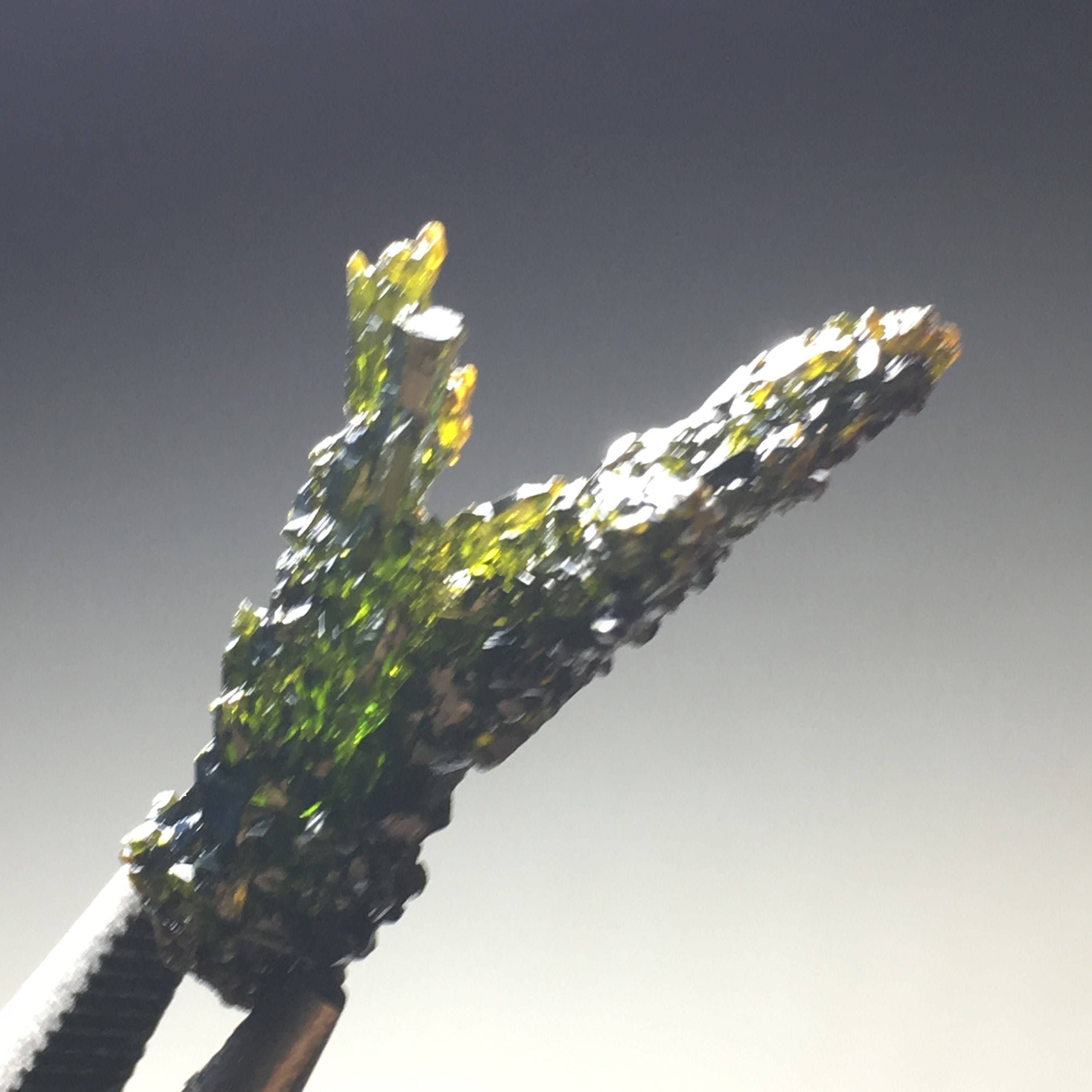 Wildheart Crystals - Wholesale Spiritual Stone/Crystal - Nice Green Terminated Zincite Crystal1