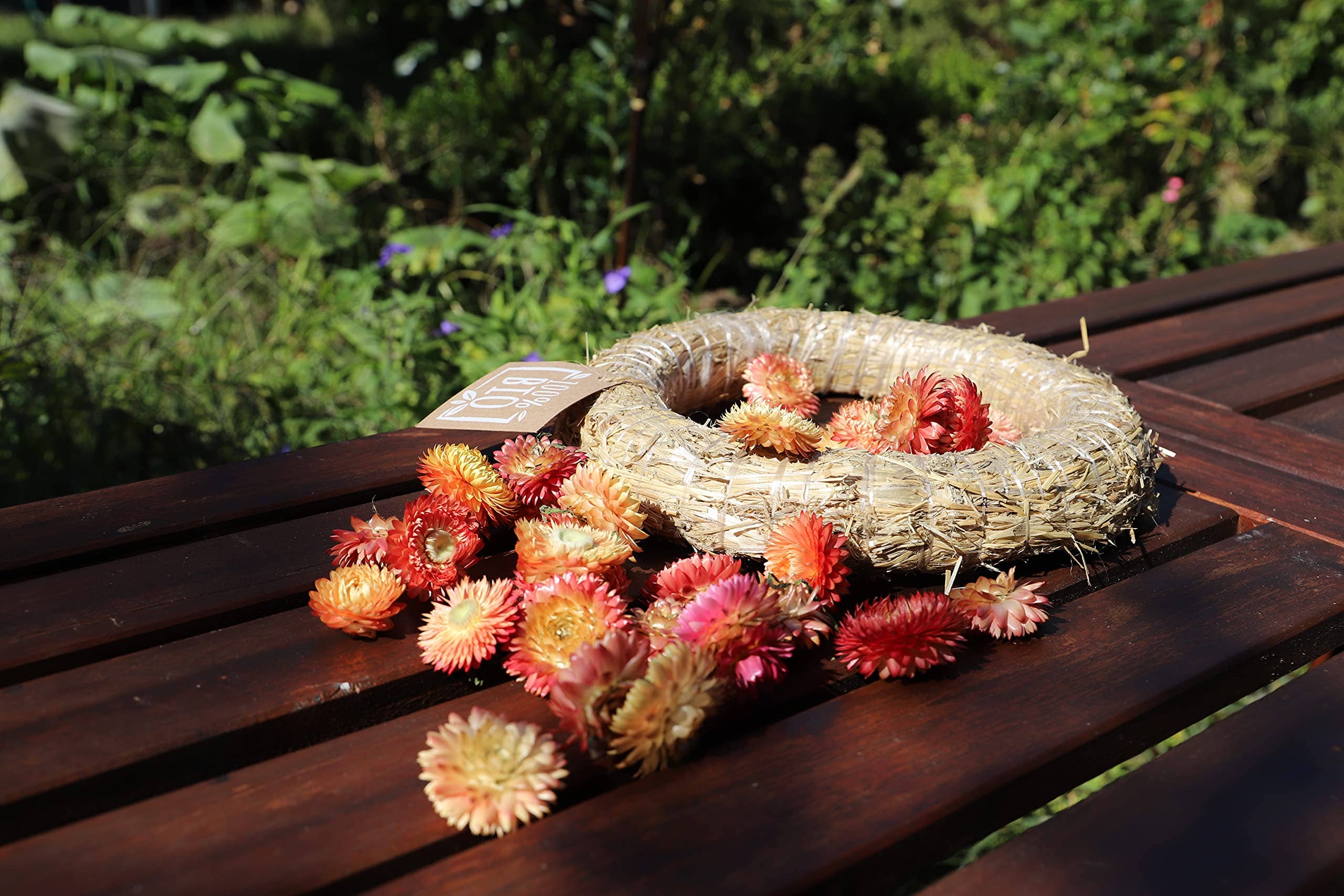 Kunstharz.Art - Vendita all'ingrosso Fiori secchi/pressati - Fiori di paglia essiccati Helichrysum per decorazioni artigianali5