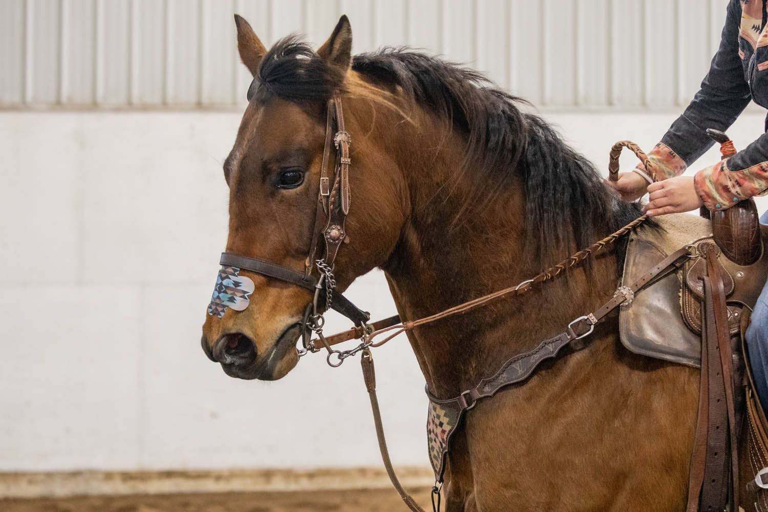 Equine Excellence - Wholesale Horse Conditioner/Grooming Aid - EquiBreathe™ Equine Nasal Patch - Aztec13