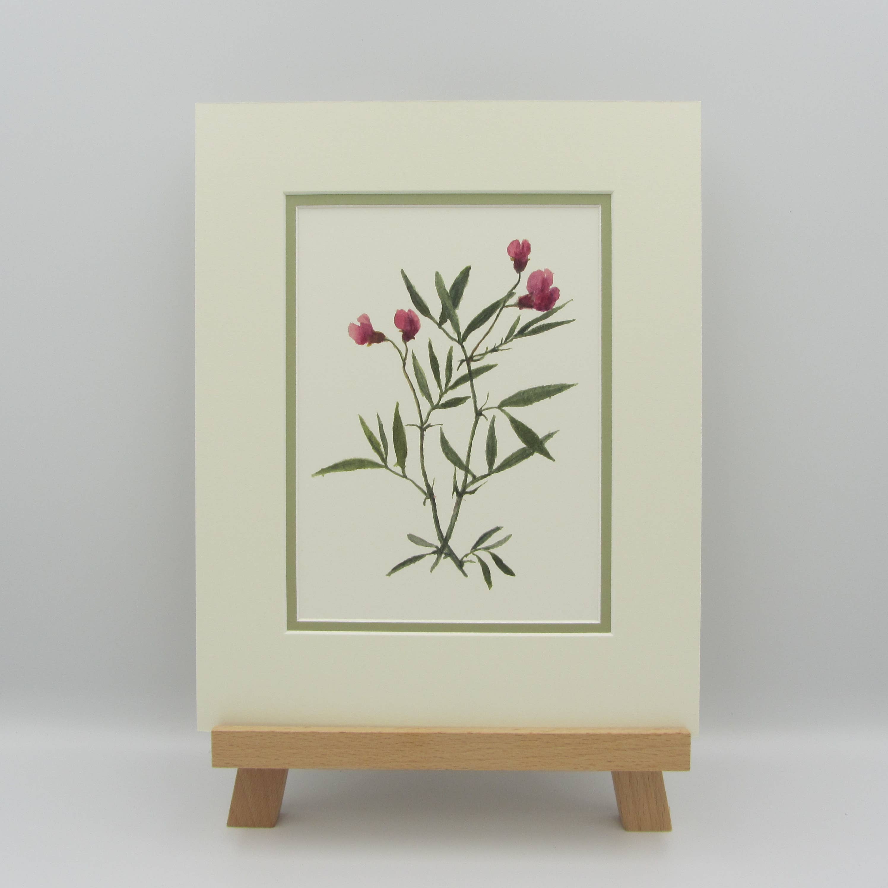 Sophia Davenport - Wholesale Art Print - Wildflower Watercolour Mounted A5 Prints1