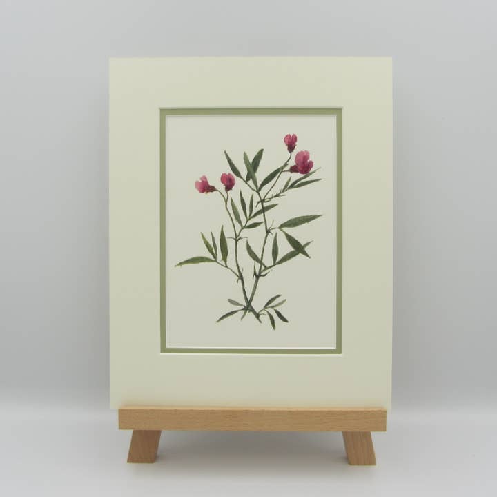 Sophia Davenport - Wholesale Art Print - Wildflower Watercolour Mounted A5 Prints1