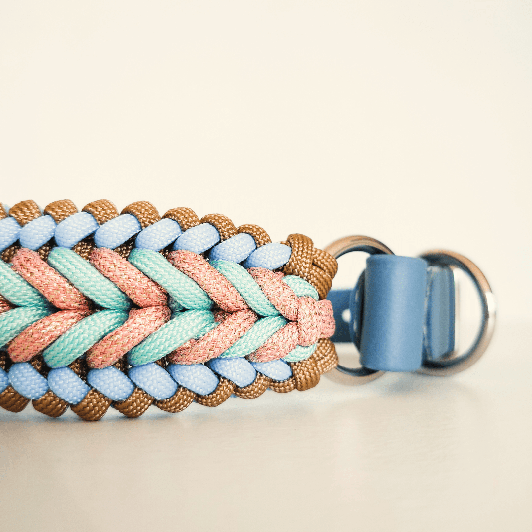 Truffe & Flair - Wholesale Pet Collar - Dog - Braided dog collar - Biothane/Paracord - Sky blue3