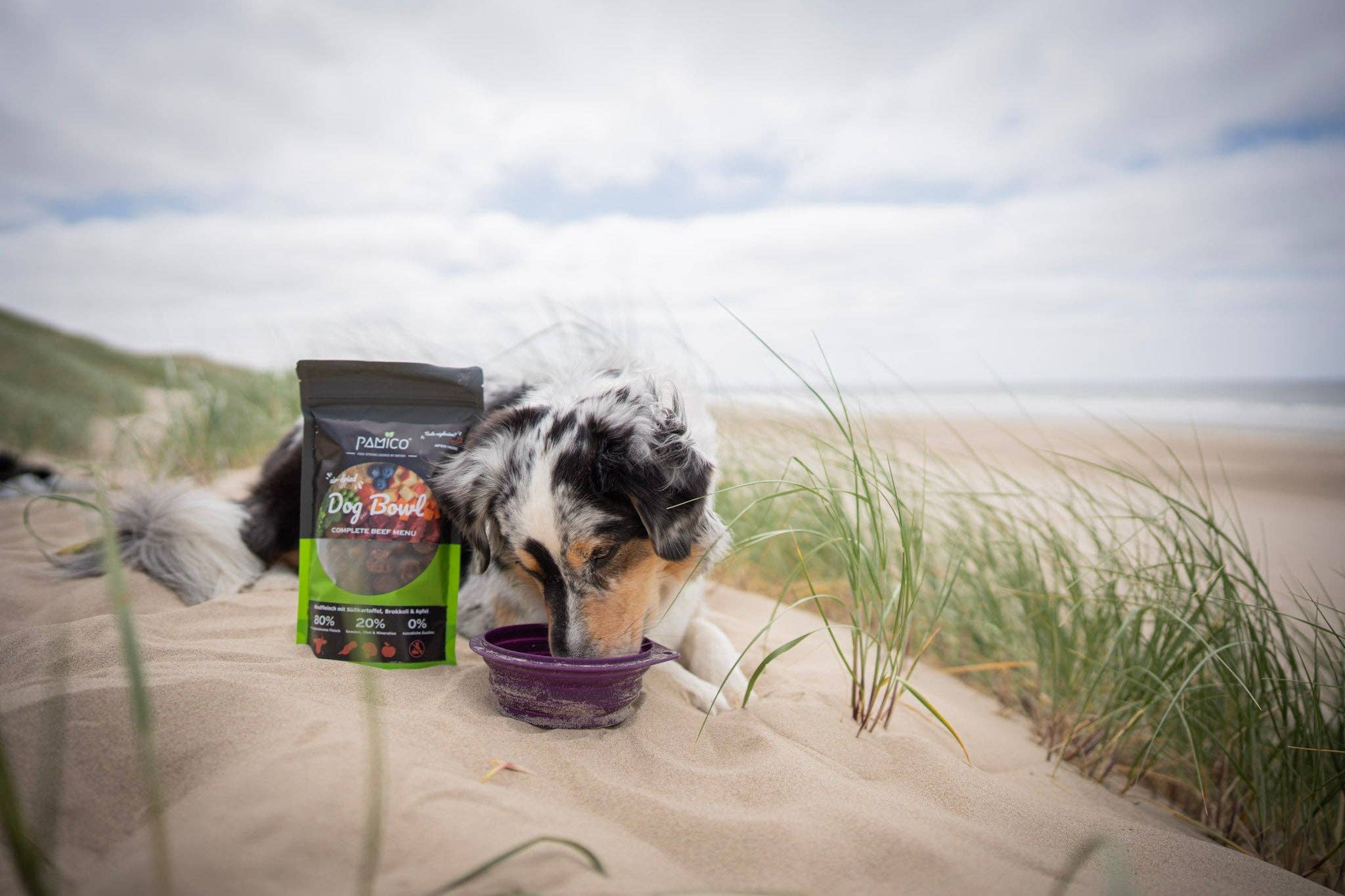 PAMICO - Wholesale Pet Food - Dog - Dog Bowl Beef with Sweet Potato, Broccoli, and Apple - Air-Dried Dry Menu2