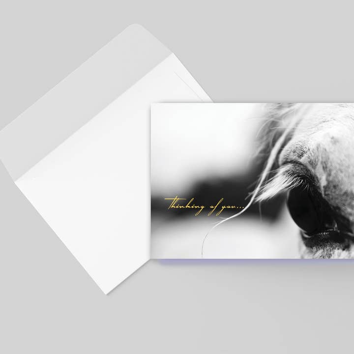 Horse Hollow Press - Wholesale Sympathy Card - Horse Sympathy Greeting Card / Thinking of You6