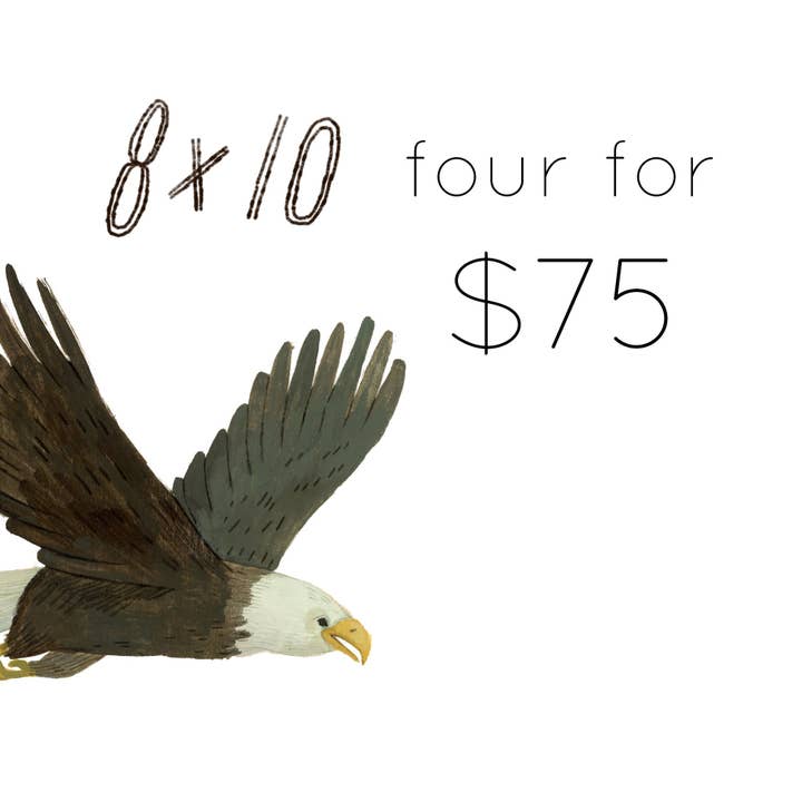 Qualsiasi quattro stampe 8x10 per $75 per la vendita all'ingrosso da parte di Canyon & Cove Art