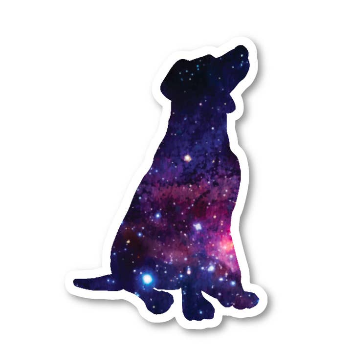 Dog Galaxy Collection, confezione da 3, set di adesivi in vinile per laptop da 2,5, 3 e 4 pollici, collezione Galaxy per laptop, telefono, bottiglia d'acqua, auto e altro (confezione da 3) per la vendita all'ingrosso da parte di FunPopStickers
