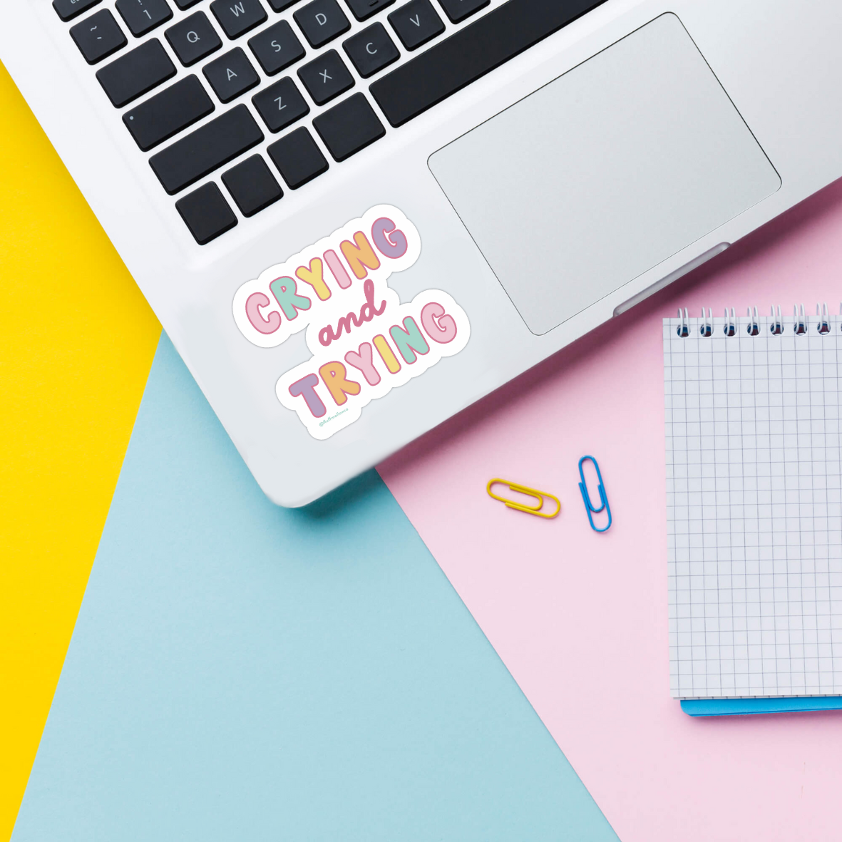 Fluffmallow (Custom duties for USA are pre-paid by us) - Wholesale Sticker - Crying & Trying Mental Health Chronic Illness Sticker1