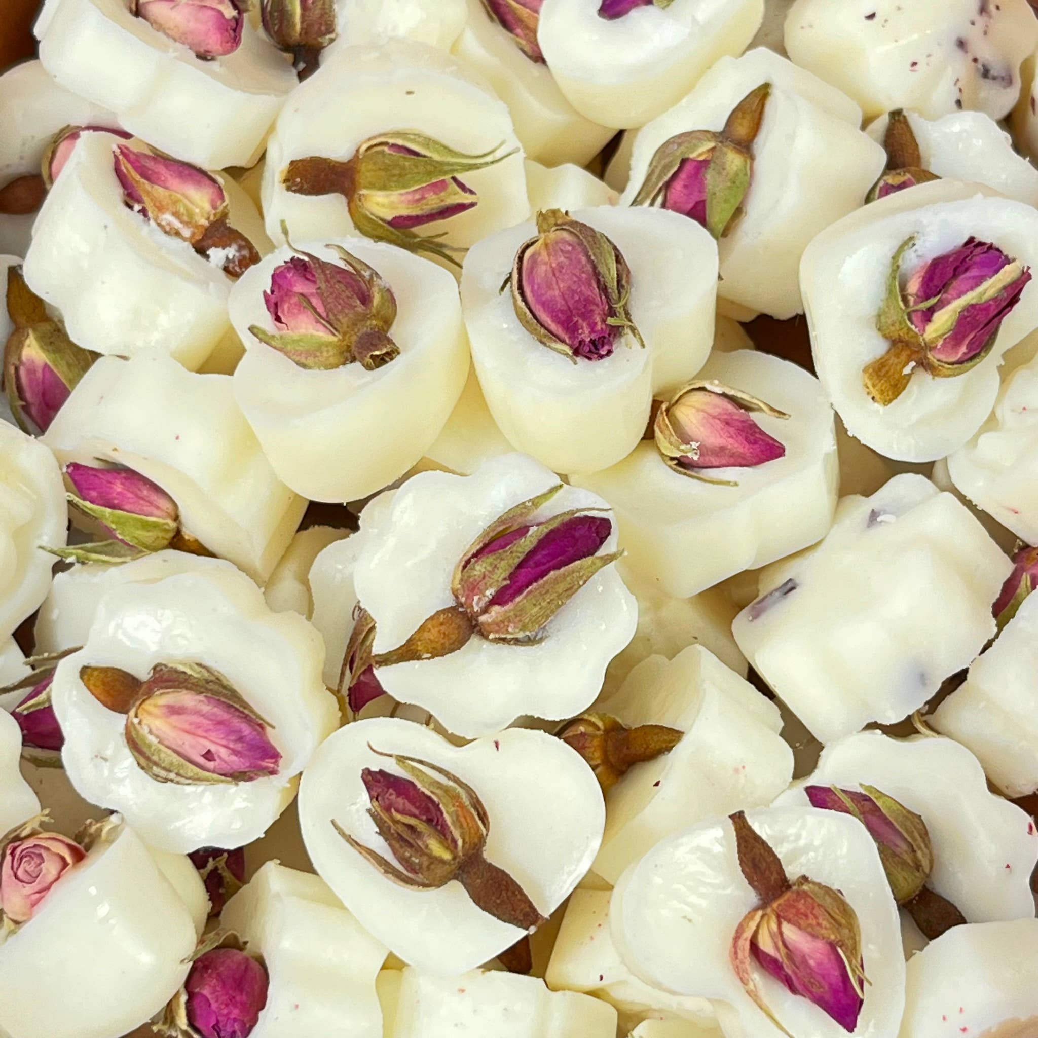 Heaven Scent Incense Ltd - Wholesale Wax Melt - Botanical Mini Wax Melts 600g Box - approx 1001