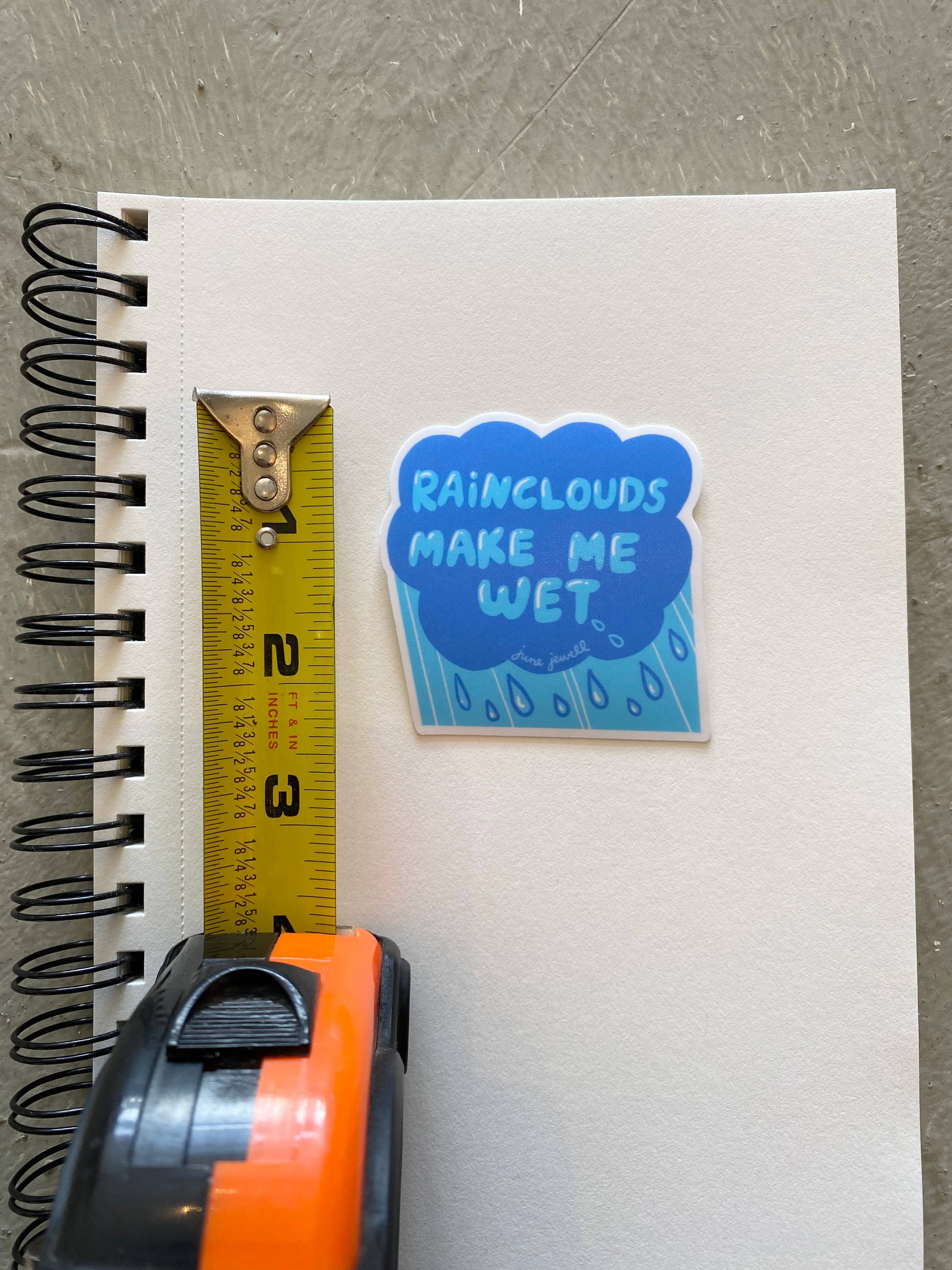 June Jewell Designs - Wholesale Sticker - 2.5” Raincloud Vinyl Sticker3
