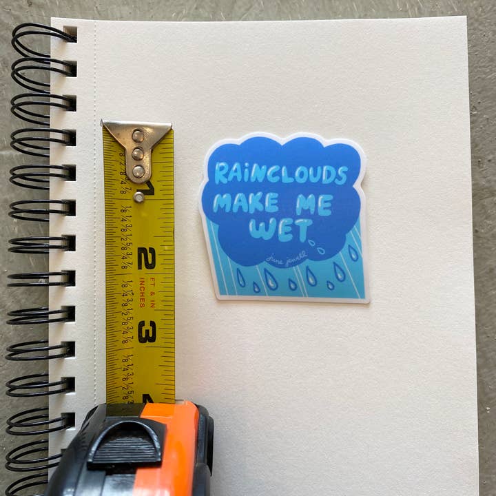 June Jewell Designs - Wholesale Sticker - 2.5” Raincloud Vinyl Sticker3