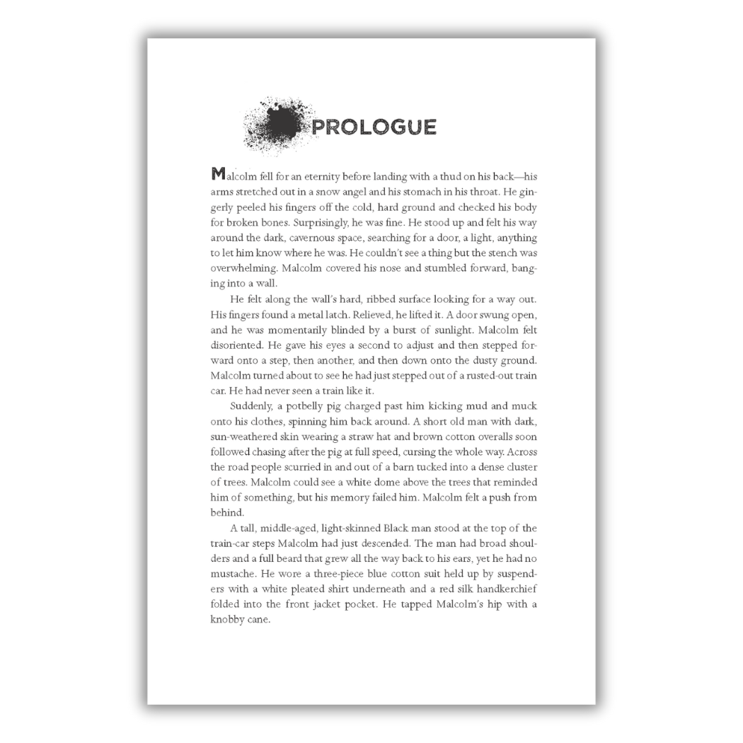 Lee & Low Books Inc - Wholesale Teen & Young Adult Book - Black Was the Ink by Michelle Coles1