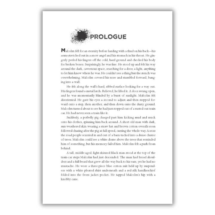 Lee & Low Books Inc - Wholesale Teen & Young Adult Book - Black Was the Ink by Michelle Coles1