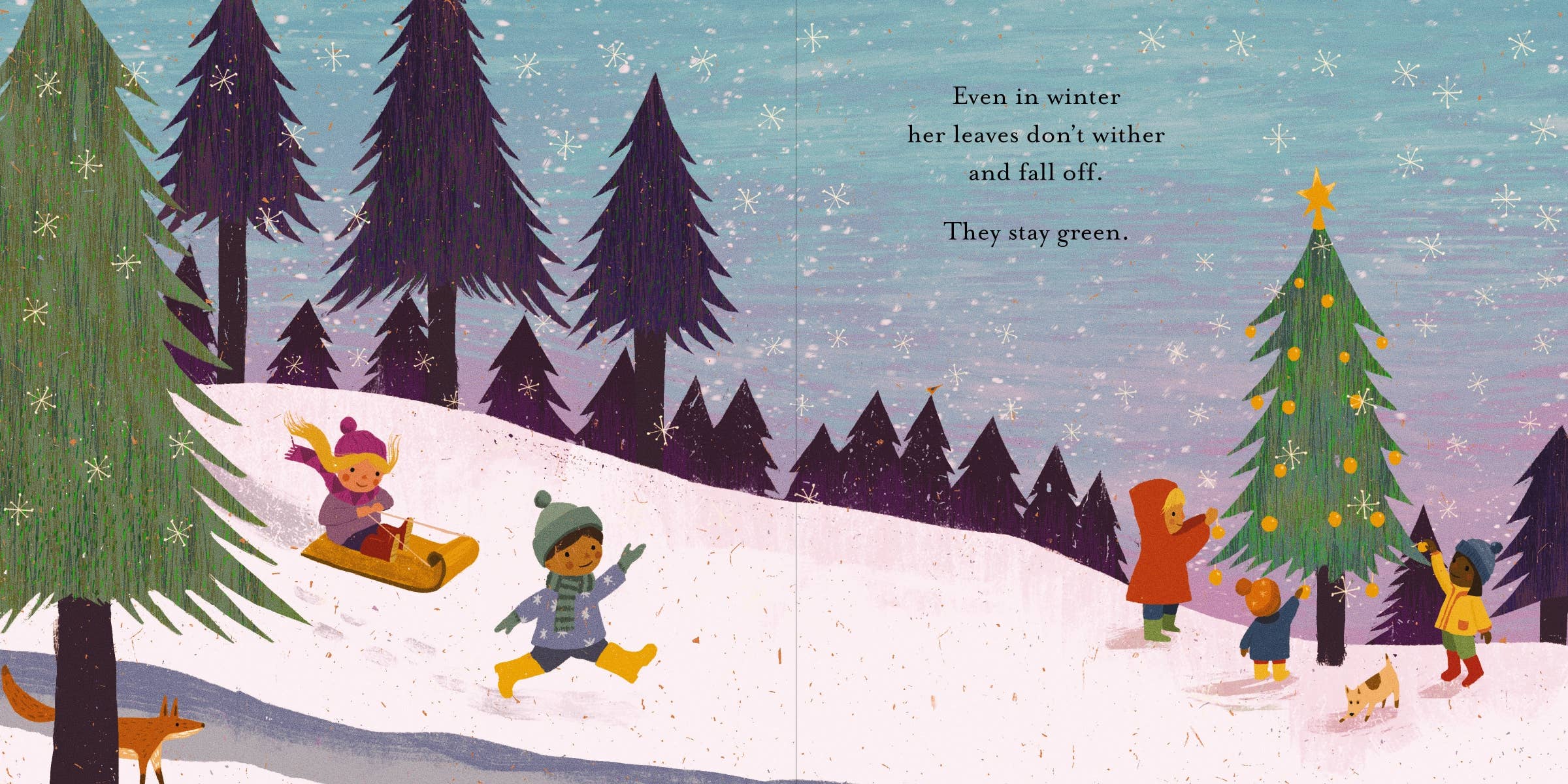 HarperCollins Christian Publishing - Wholesale Baby & Toddler Book (0-2) - Strong2