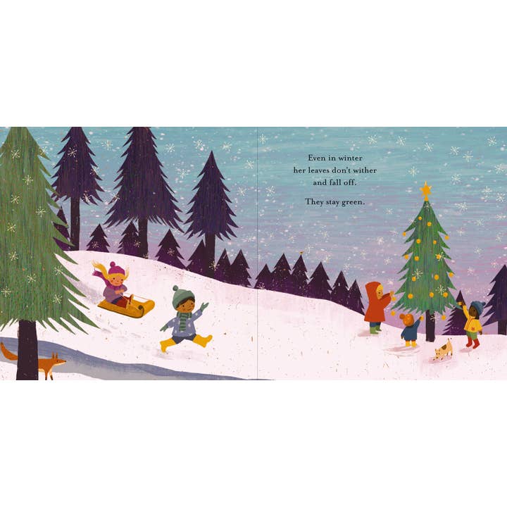 HarperCollins Christian Publishing - Wholesale Baby & Toddler Book (0-2) - Strong2