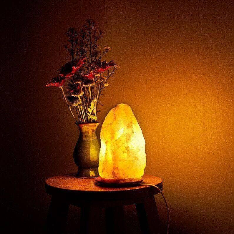 Himalayan Trading Co.® - Wholesale Salt Lamp - Original Himalayan Salt Rock Lamp (XL)5