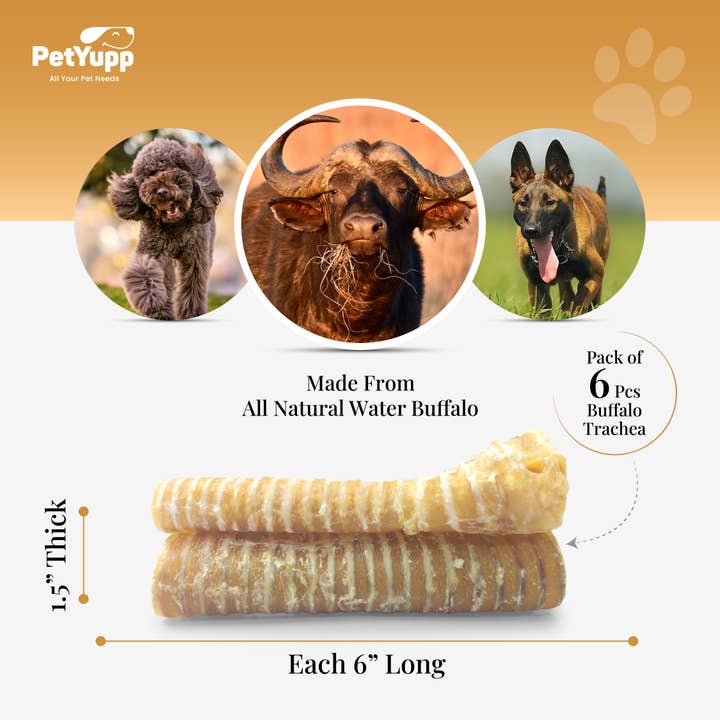 PetYupp - Wholesale Pet Treats - Dog - 100% Natural Water Buffalo Trachea Dog Chew - 6 Inch - 6 Count