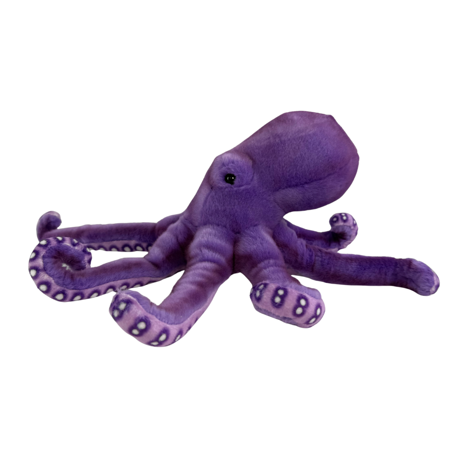 Bocchetta Plush Toys - Wholesale Stuffed/plush toy – Kids & baby - Nate - Octopus, purple - 32cm4