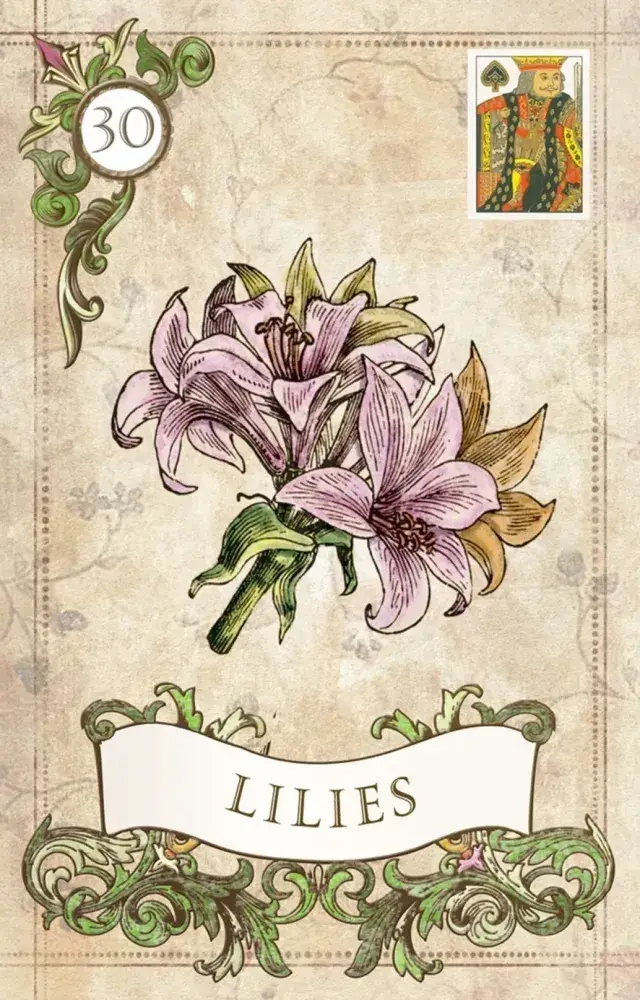 U.S. Games Systems Inc. - Wholesale Tarot Cards - Old Style Lenormand4